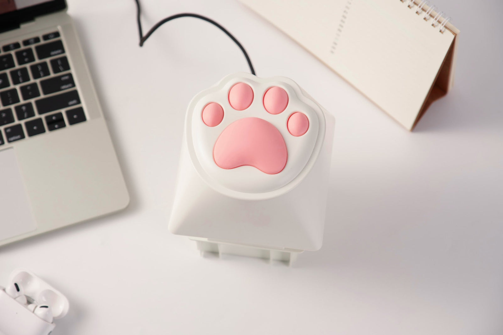 How to Disassemble the Keychron Big Kitty Paw Key and Find the Reset Button