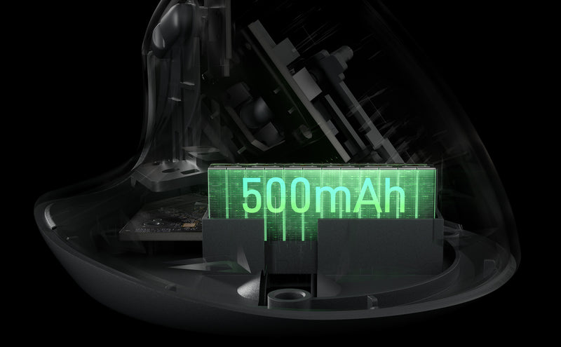Endurance 500 MAH Battery