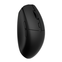 Mice