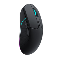 Mice