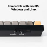 Keychron C2 Pro QMK/VIA Wired Mechanical Keyboard (Non Hot-Swappable)